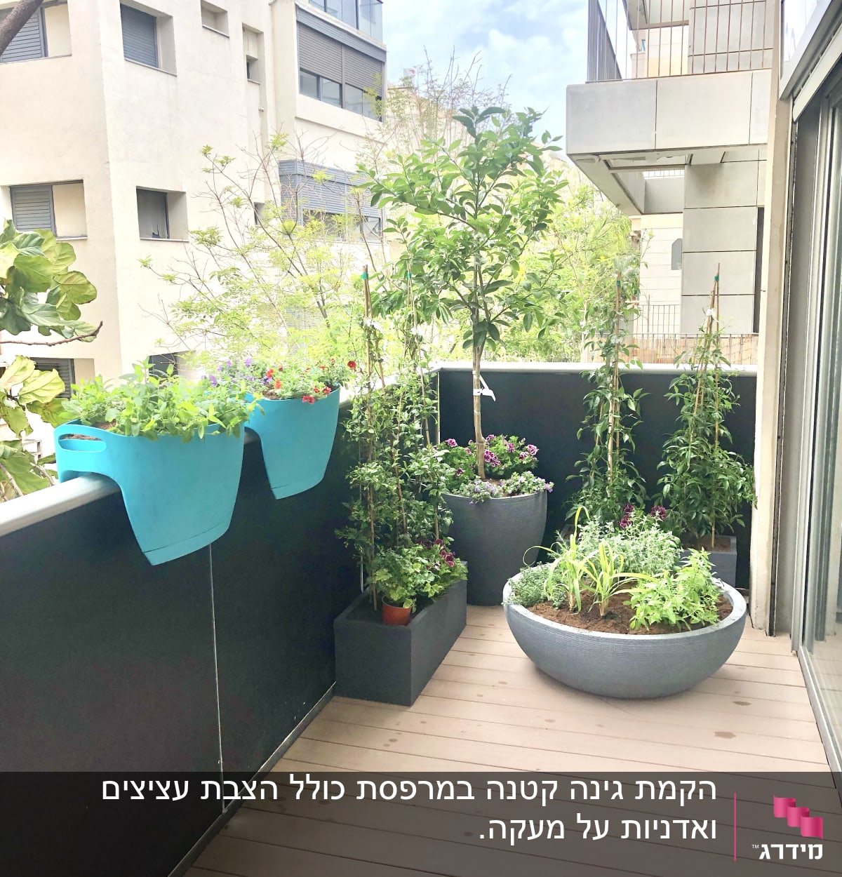 עציצים עם צמחים ופרחים על מרפסת